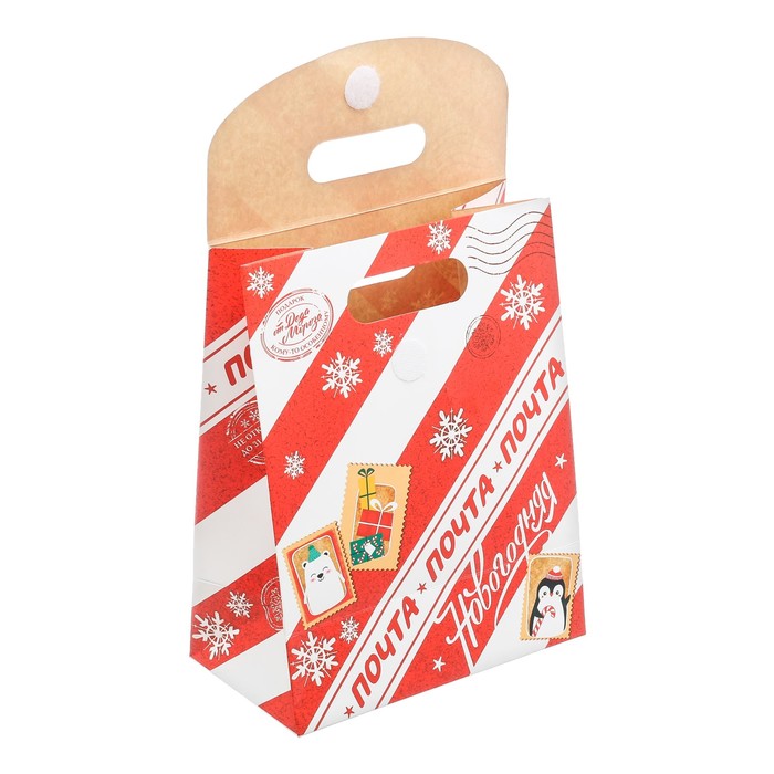 Пакет подарочный «Почта Новогодняя», 18 × 23 × 10 см