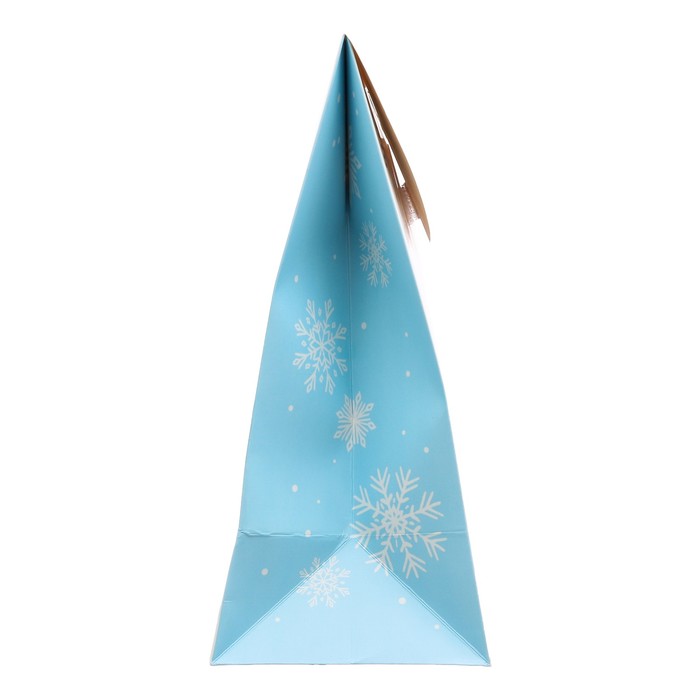 Пакет подарочный «Доброго праздника», 18 × 23 × 10 см