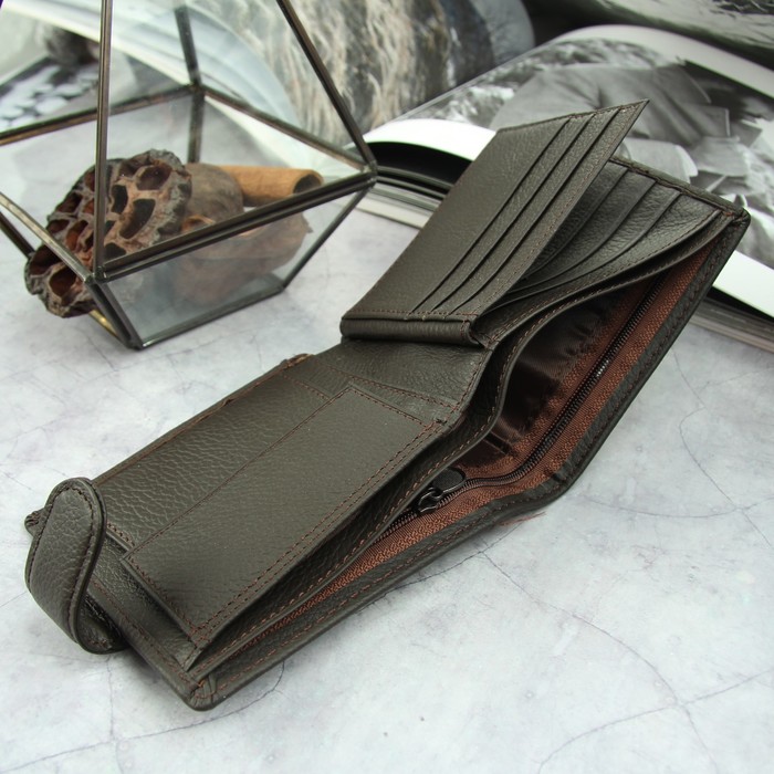 Портмоне мужское, отдел для автодокументов, 2 отдела, для карт, для монет, цвет коричневый