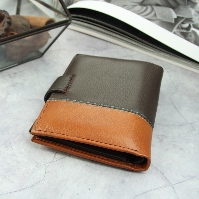 Портмоне мужское 3 в 1 (автодокументы+паспорт), 2 отдела, для карт, для монет, цвет коричневый