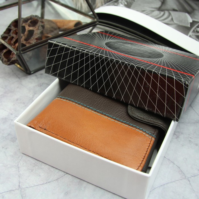 Портмоне мужское 3 в 1 (автодокументы+паспорт), 2 отдела, для карт, для монет, цвет коричневый