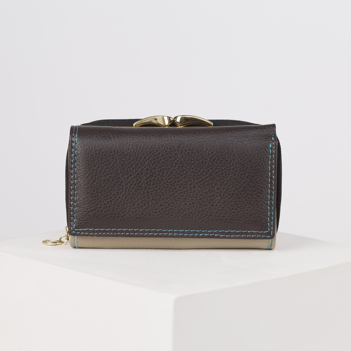 Кошелёк женский, 2 отдела рамка, 2 отдела на молнии, 2 отдела, для карт, для монет, цвет коричневый/чёрный