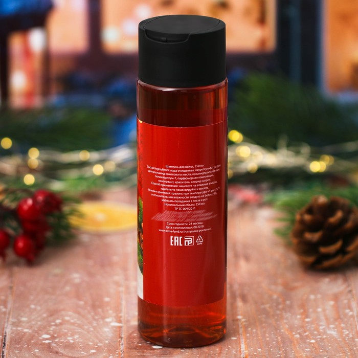 Шампунь для волос "Удачного года!" с ароматом горячего шоколада, 250 мл