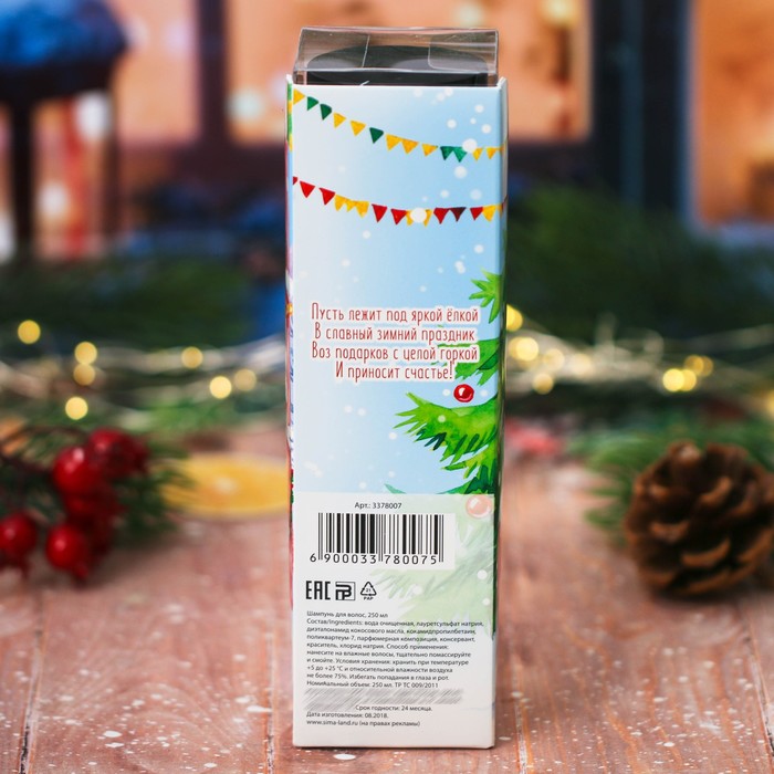 Шампунь для волос "С заботой в Новом году" с ароматом горячего шоколада, 250 мл
