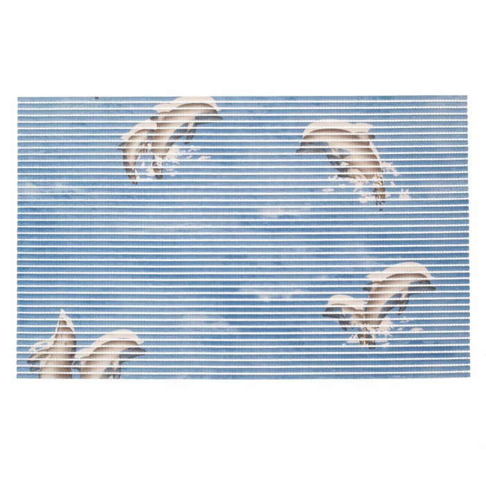 Коврик для ванной "Фантазия" 40х65 см, рисунок МИКС