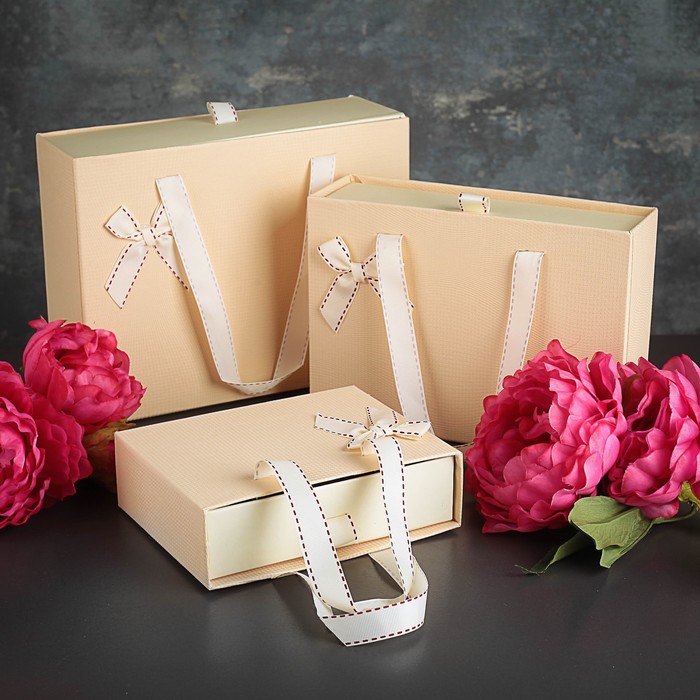 Набор коробок 3в1, 27 х 20 х 9 - 18 х 14 х 5,5 см