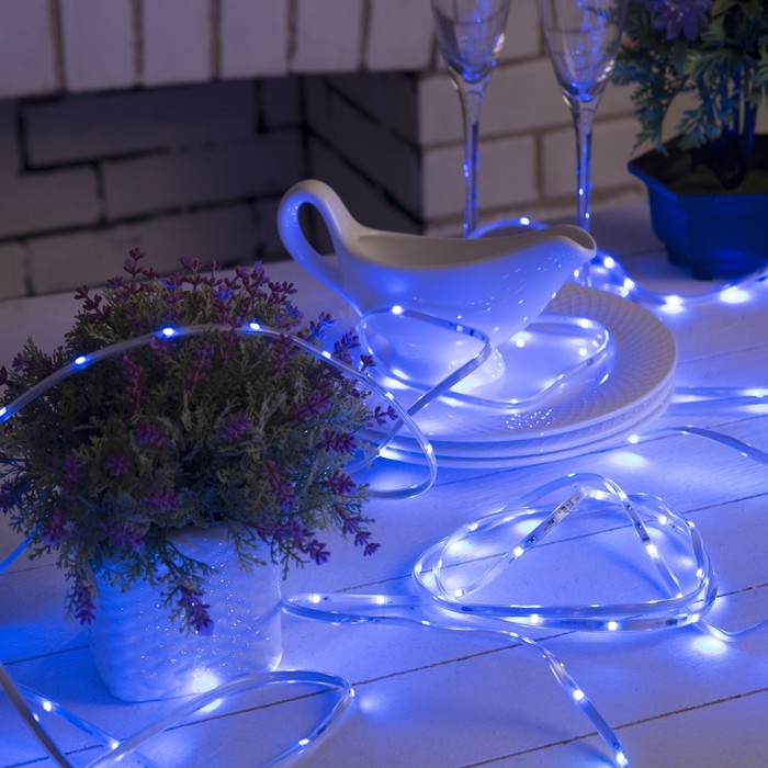 НИТЬ "Яркая лента" 5 м, SMD2835-130/10-12V, мерцание, Б/П в компл., СИНИЙ