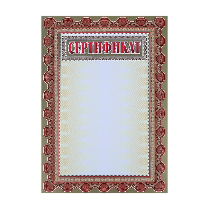 Комплект-папка "Портфолио выпускника/абитуриента" А4