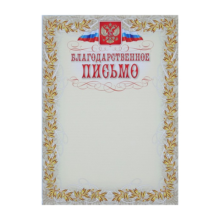 Комплект-папка "Портфолио выпускника/абитуриента" А4