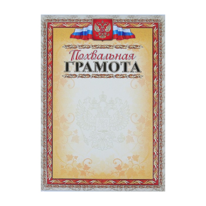 Комплект-папка "Портфолио выпускника/абитуриента" А4