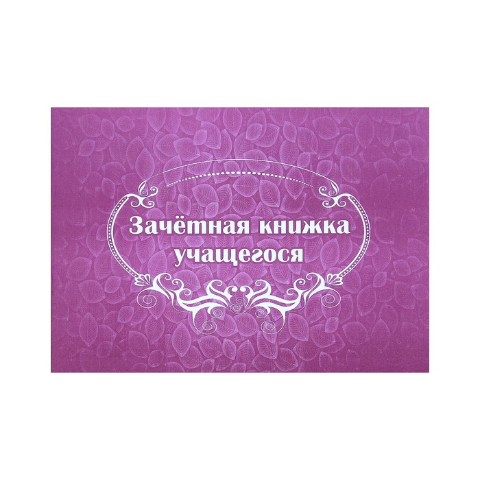 Комплект-папка "Портфолио выпускника/абитуриента" А4