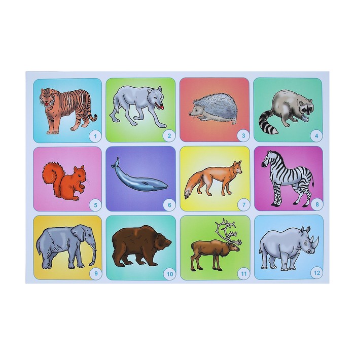 Набор плакатов "Животные" 4 плаката, А3