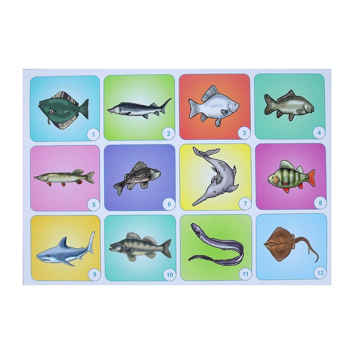 Набор плакатов "Животные" 4 плаката, А3