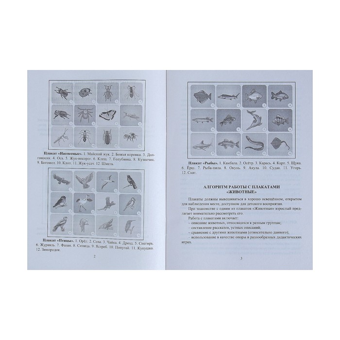 Набор плакатов "Животные" 4 плаката, А3