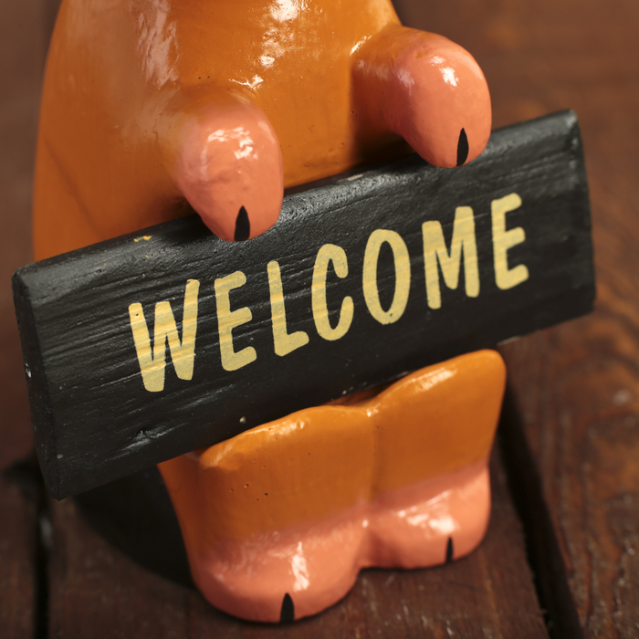 Сувенир дерево "Свинка с табличкой" 9х8,5х20 см