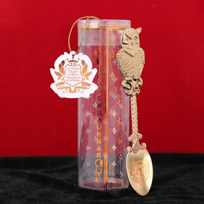 Ложка сувенирная в тубусе "Лучший сын"