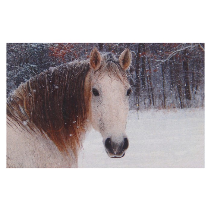 Алмазная мозаика "Конь" 60*38 см, 32 цвета