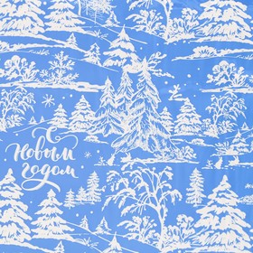 

Плёнка упаковочная голография «Зимний лес», 70 × 100 см