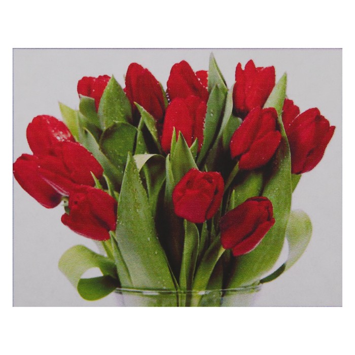 Алмазная мозаика "Тюльпаны" 24*20 см, 27 цветов