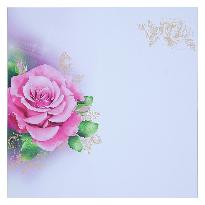 Открытка "Поздравляю!", евро, розовая роза