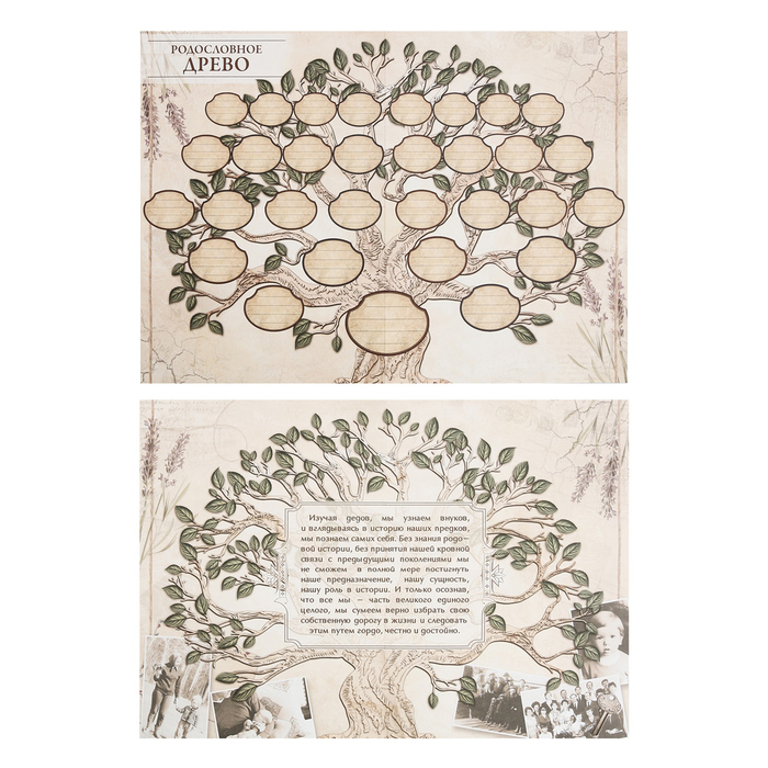 Родословная книга "Руки"