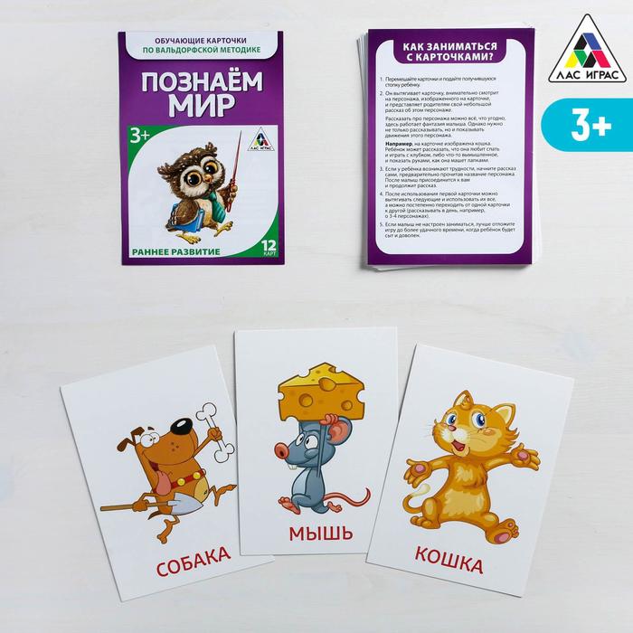 Обучающие карточки по Вальдорфской методике "Познаем мир"