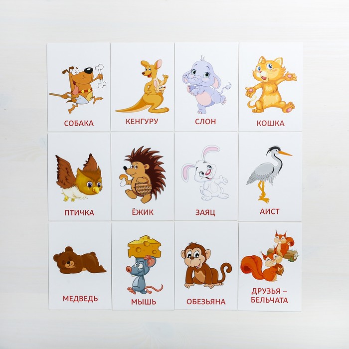 Обучающие карточки по Вальдорфской методике "Познаем мир"