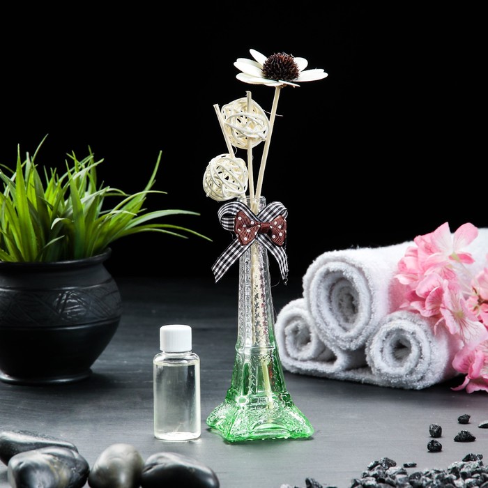Набор подарочный"Эйфелева башня"УЦЕНКА(ваза,2 палочки с шариками,декор,армасло30мл),свеж.леса