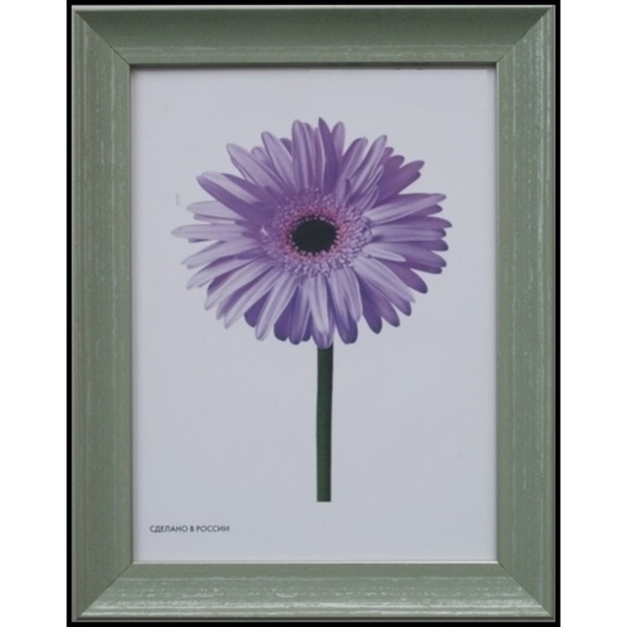 Рама для зеркал и картин пласт 40*50*1,7см, Jasmin зелёная