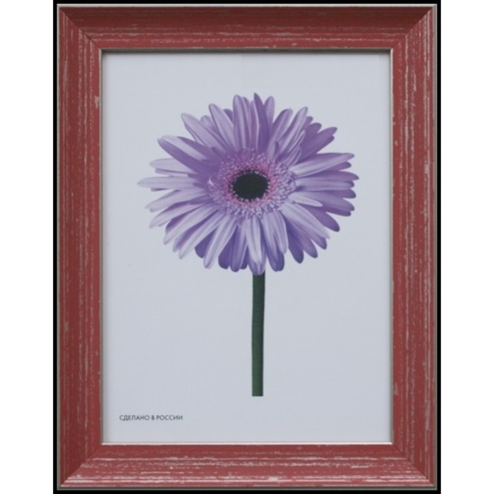 Рама для зеркал и картин пласт 40*50*1,7см, Jasmin красная