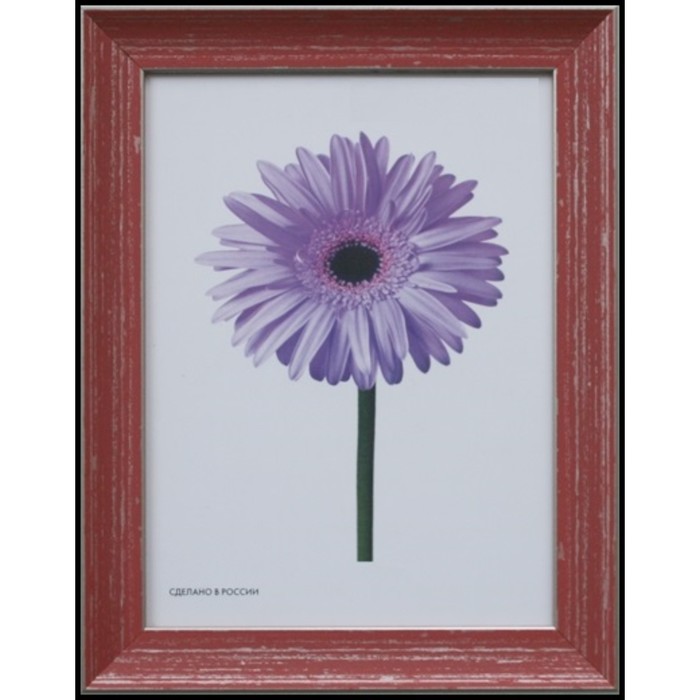 Рама для зеркал и картин пласт 21*30*1,7см, Jasmin красная