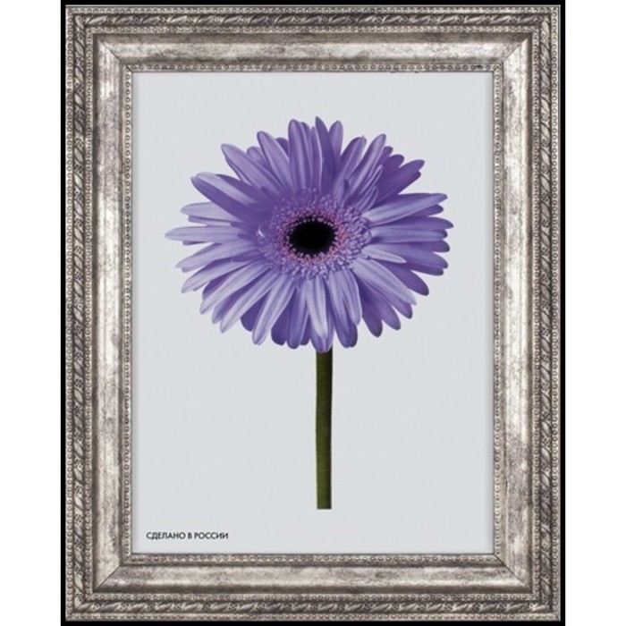 Рама для зеркал и картин пласт 21*30*1,9см, Adele серебро