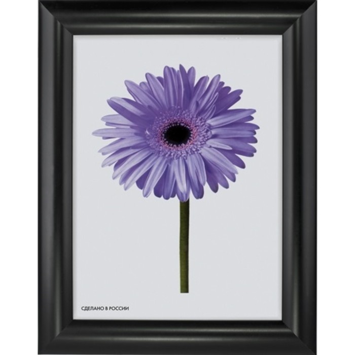 Рама для зеркал и картин пласт 21*30*1,3см, Petra чёрная