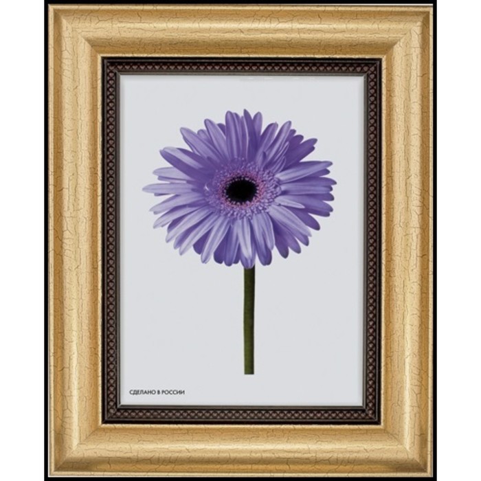 Рама для зеркал и картин пласт 21*30*1,6см, Agatha золото