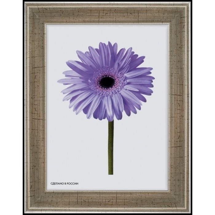 Рама для зеркал и картин пласт 30*40*2см, Aida серебро с патиной