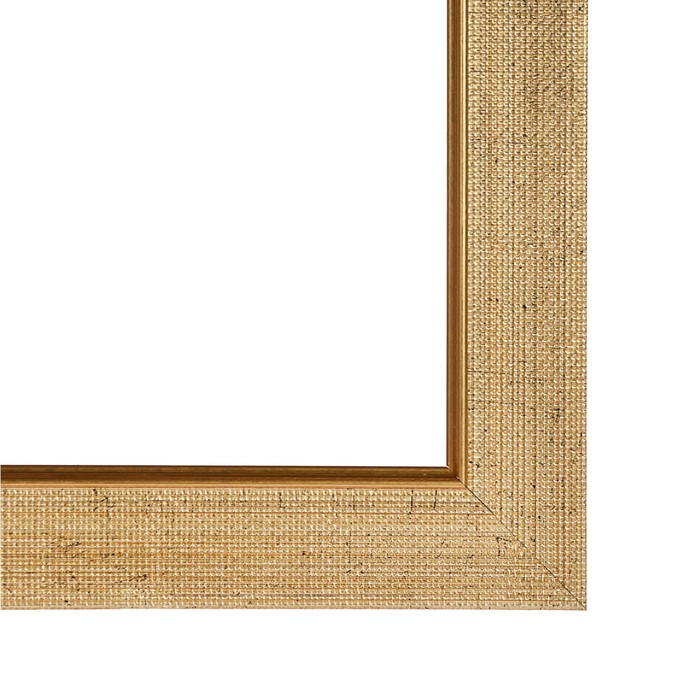 Рама для зеркал и картин пласт 30*40*1,4см, Nina золото