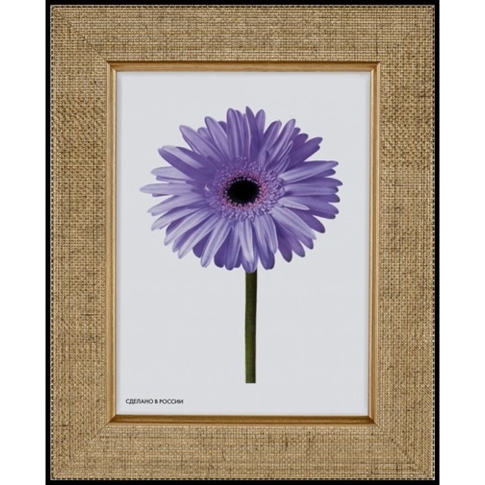 Рама для зеркал и картин пласт 30*40*1,4см, Nina золото