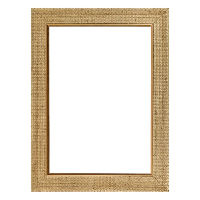 Рама для зеркал и картин пласт 21*30*1,4см, Nina золото