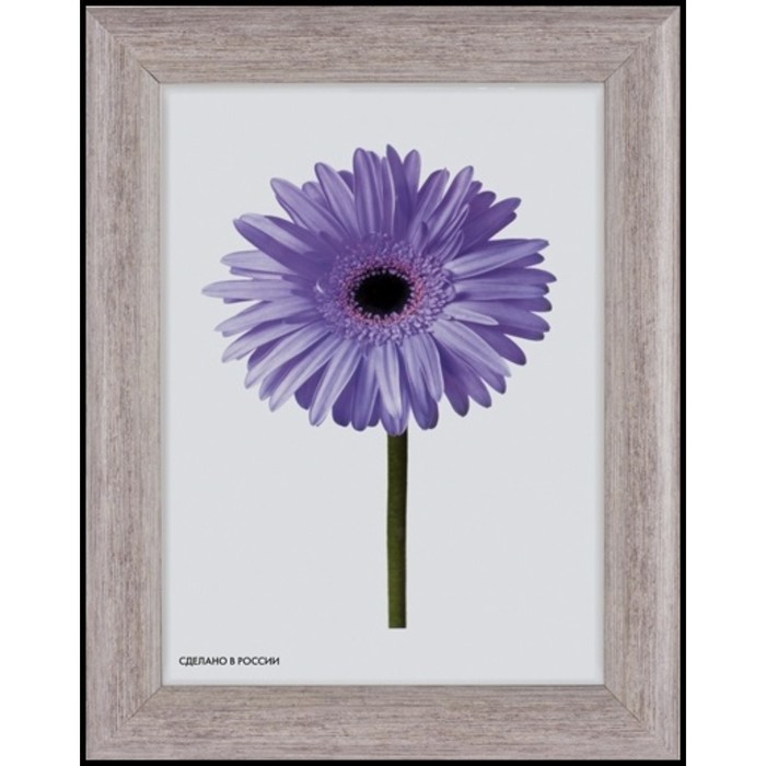 Рама для зеркал и картин пласт 40*50*2,1см, Dominica сиреневый