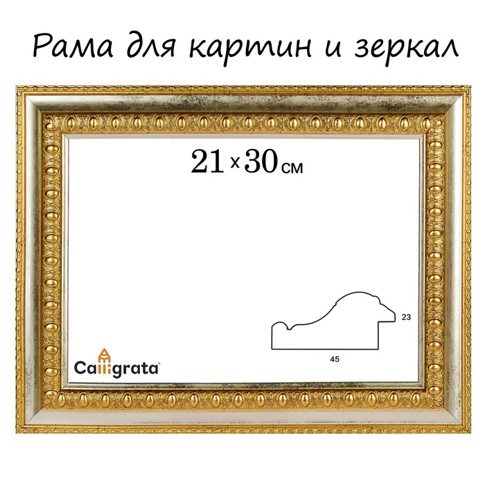 Рама для зеркал и картин пласт 21*30*2,3см, Charlotta золото