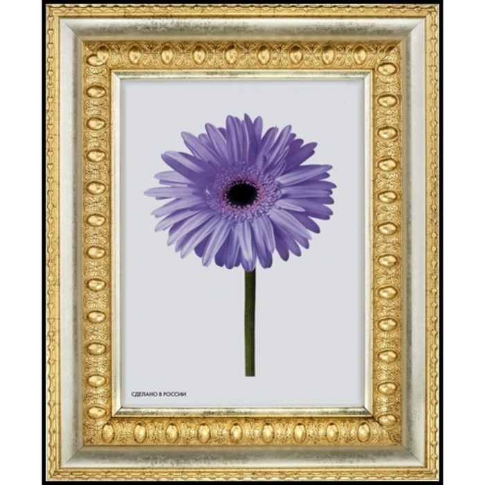 Рама для зеркал и картин пласт 21*30*2,3см, Charlotta золото