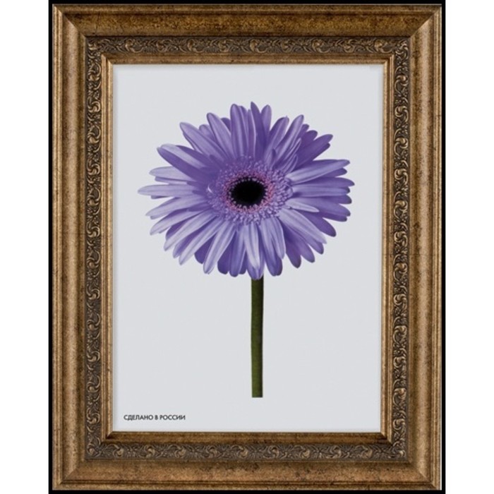 Рама для зеркал и картин пласт 21*30*1,8см, Daria старое золото