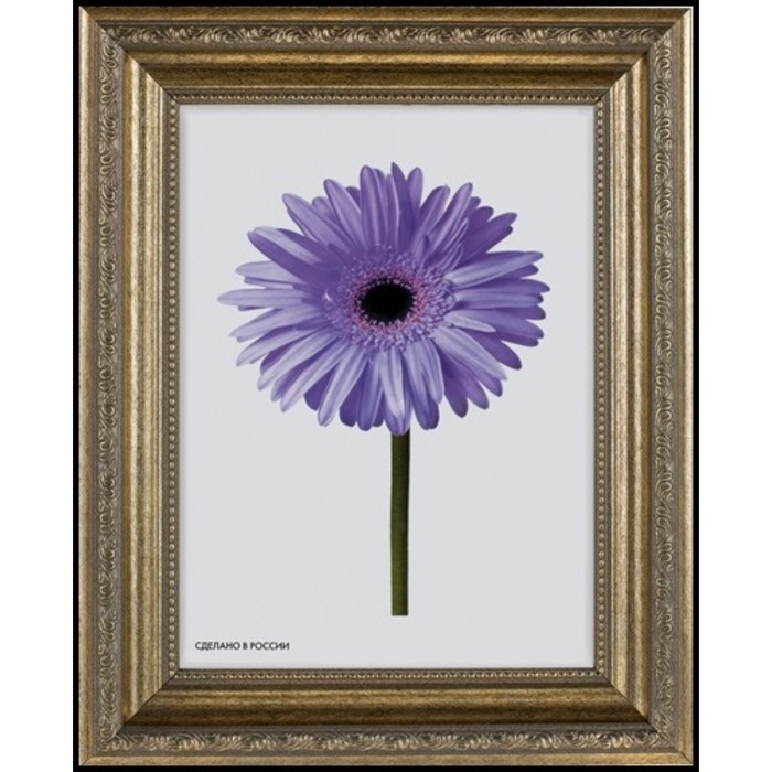 Рама для зеркал и картин пласт 21*30*2,3см, Dorothy серебряная