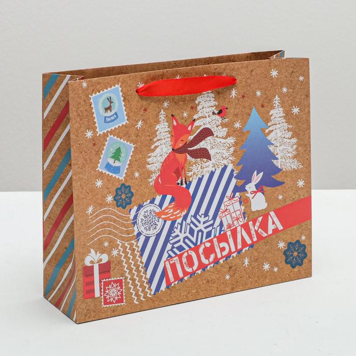 Пакет крафтовый горизонтальный «Зимняя посылка», 27 × 23 × 8 см