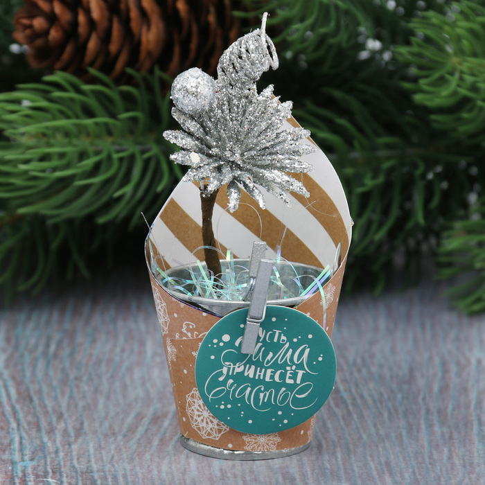 Новогодний декор с пожеланием "Пусть зима принесёт счастье"