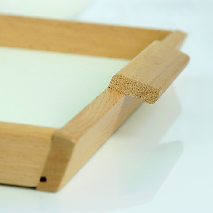 Поднос для завтрака со вставкой, БУК, 46х31см