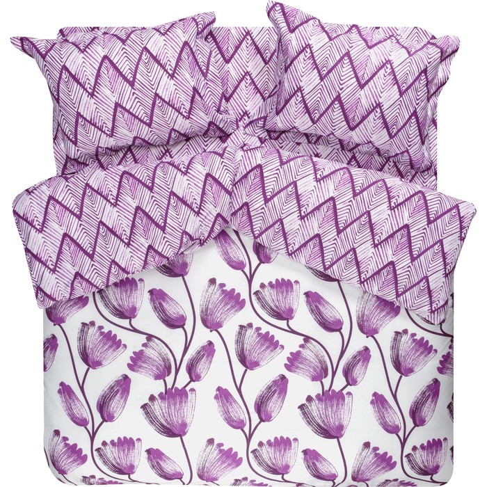 КПБ евро "Асония", 240х260 см, 200х220 см, 50х70 см-2 шт., ранфорс 118 г/м2