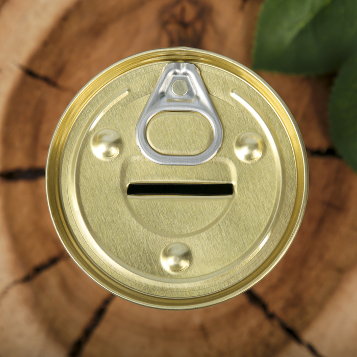 Копилка-банка металл "Моя заначка" 9,5х7,7х7,7 см