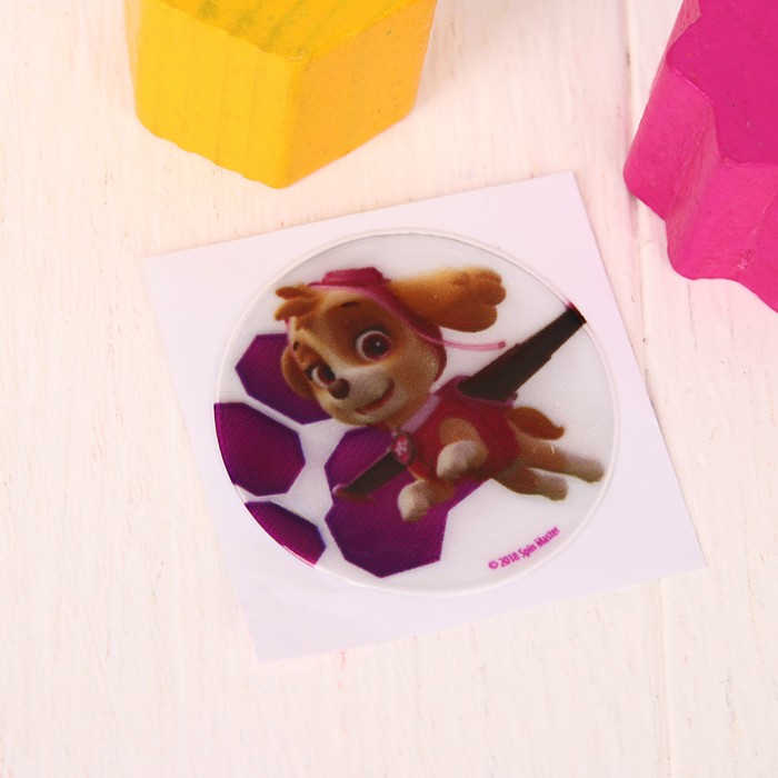 Наклейка светоотражающая PAW PATROL "Скай" 5 см.