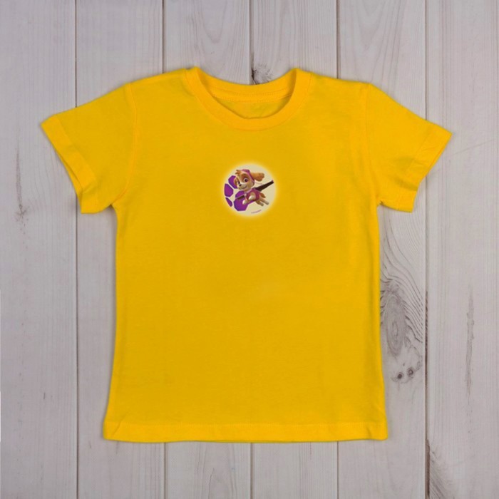 Наклейка светоотражающая PAW PATROL "Скай" 5 см.